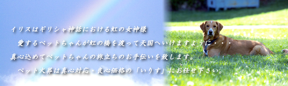 ペット火葬、ペット葬儀を大阪、神戸、奈良でお探しなら真心対応、良心価格のいりすへ。